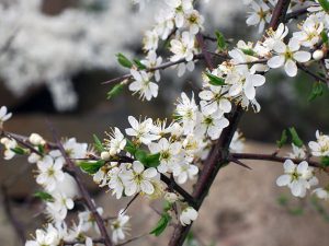 21 мая: какой сегодня праздник, приметы и запреты