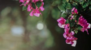 Приметы и праздники 26 мая: что нельзя делать в этот день