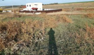 Украинцам рассказали, как продать землю после 1 июля 2021-го: есть важные нюансы