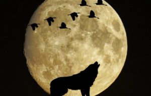 Полнолуние 26 мая: что нужно успеть сделать и чего опасаться