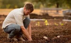 Как не допустить появление сорняков: лайфхаки