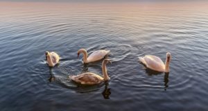 22 мая: какой праздник, приметы, именинники дня и что нельзя делать