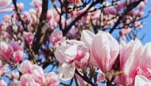 Приметы и праздники 5 мая: что нельзя делать в этот день