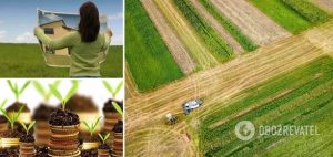 Право на землю: украинцев хотят заставить выкупить свои участки или оформить их в аренду