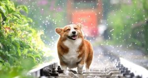 Праздники 24 мая: что нельзя делать, приметы и именинники