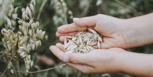 Евсеев день: приметы и обряды на 7 мая