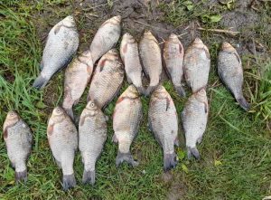 Житель Слов’янська нестиме відповідальність за незаконний вилов риби