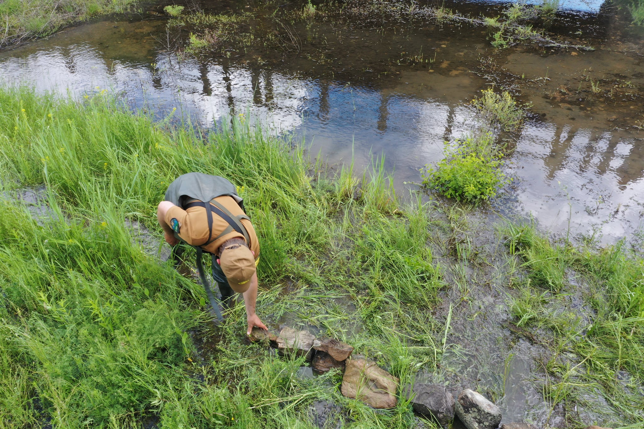 198021375 793762587991931 6366723054187557071 n