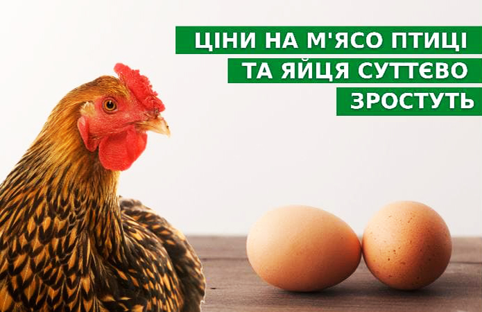 Цены на мясо птицы и яйца существенно вырастут