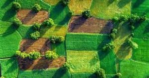 Названа цена аренды земли в разных областях Украины