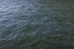 Від початку першого літнього місяця на водних об’єктах України загинуло 126 осіб, з них – 28 дітей!