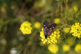 8 июня: какой сегодня праздник, приметы и запреты