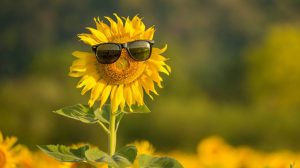 В июле повезет трем знакам Зодиака – одного из них считал особенным сам Мессинг