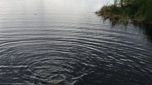 Вблизи пляжа “Ибица” на Голубых озерах утонул мужчина