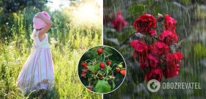 В Украину идет жара до +33, но дожди не прекратятся: прогноз синоптиков