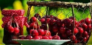 В этом году рекордно низкий урожай черешни. Какие еще фрукты и ягоды будут в дефиците