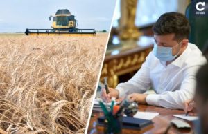 Землю будут продавать в онлайне: Зеленский подписал закон о торгах