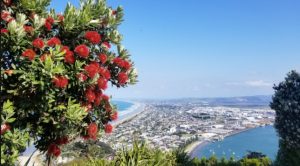 Назван самый удобный для жизни город мира