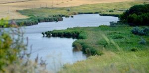 На водосховищах і озерах Донецької області закінчилась весняно – літня нерестова заборона