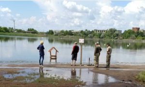 Для лебедей на Славянском курорте установили домики – кормушки