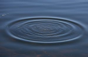 В озері у парку Ювілейний у Краматорську  потонув чоловік