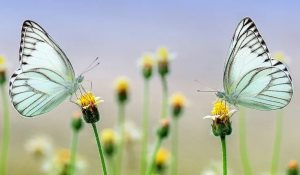 Приметы и праздники 26 июня: что нельзя делать в этот день