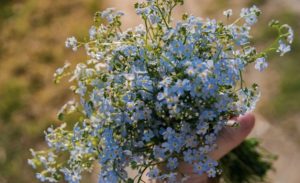 Народные приметы 24 июня: что ни в коем случае нельзя делать в День Варнавы