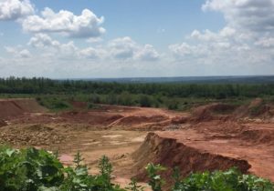 Экологии Святогорской ОТГ нанесли почти 13 миллионов ущерба: что известно (фото)