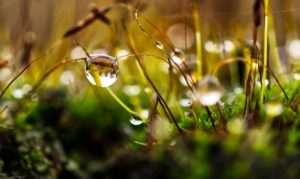 7 июня: праздники, приметы и именинники