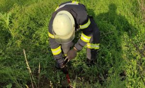 Бійці ДСНС вилучили собаку з каналізаційного люку