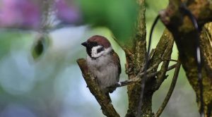 18 июня: праздники, приметы и именинники