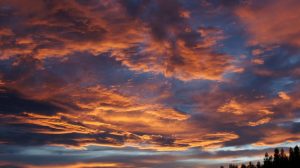 Гороскоп на неделю с 14 по 20 июня для каждого знака зодиака