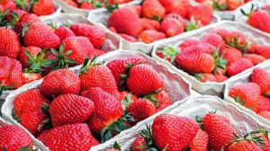 Кому категорически запрещено есть клубнику: врачи дали ответ