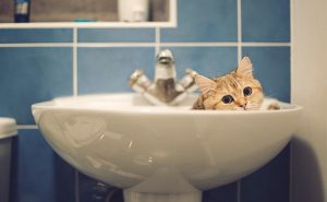 В большинстве районов Славянска опять возможны перебои с водой