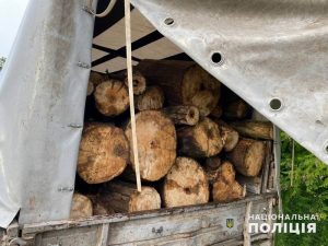 Поліція Слов’янська проводить перевірку за фактом незаконної порубки лісу поблизу міста