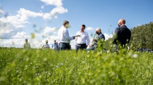 Открытие рынка земли: как получить кадастровый номер участка и оформить договор на землю