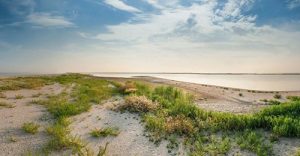 На Донетчине Госгеокадастр вынес на торги территории национального парка, 4-х заказников, Изумрудной сети