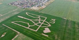 Это рекорд: на поле под Киевом высеяли огромный герб Украины