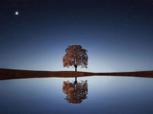 Народные приметы на 28 июля 2021 года: что категорически нельзя делать в Кириков день