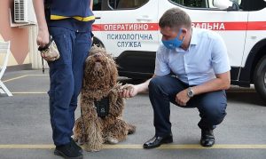 Спасатели получили автомобиль для собаки-психолога