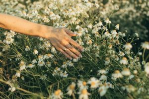 Когда Петра и Павла 2021: что нельзя делать в этот день