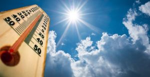 Продукти, які не бажано їсти в спеку, щоб не перегріти організм  