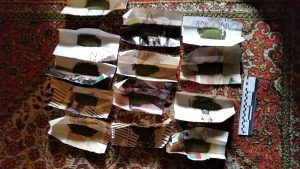 У жителя Лимана поліцейські вилучили наркотичну речовину