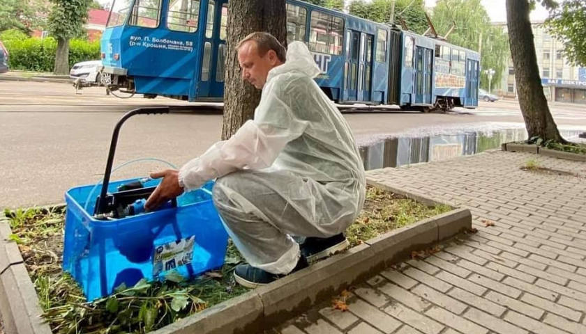 У Житомирі вакцинують каштани: фото
