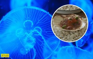 На курортах Азовского моря начали готовить и есть медуз: фото и рецепт вкуснятины