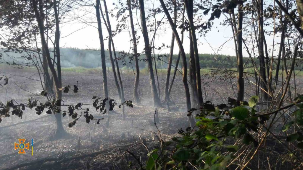 Пожар на Голубых озерах. Официальная версия