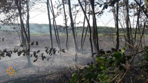 Пожар на Голубых озерах. Официальная версия