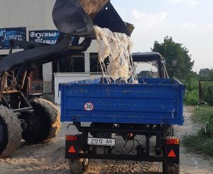 В Урзуфе вывозят с побережья тонны медуз