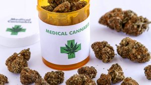 Легализацию медицинского каннабиса рассмотрят на инициированном Зеленским внеочередном заседании Рады во вторник