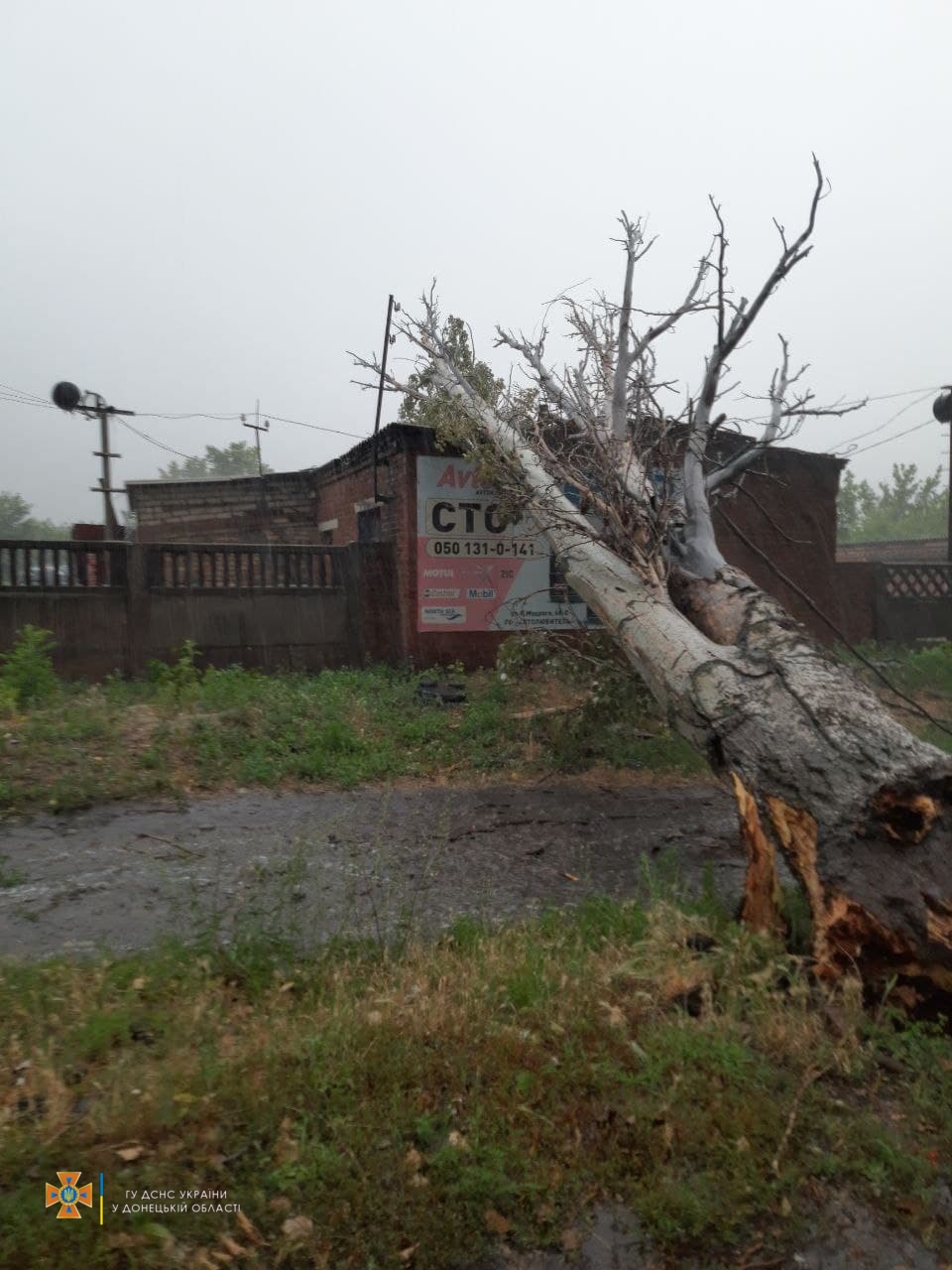 photo 2021 07 21 12 35 46